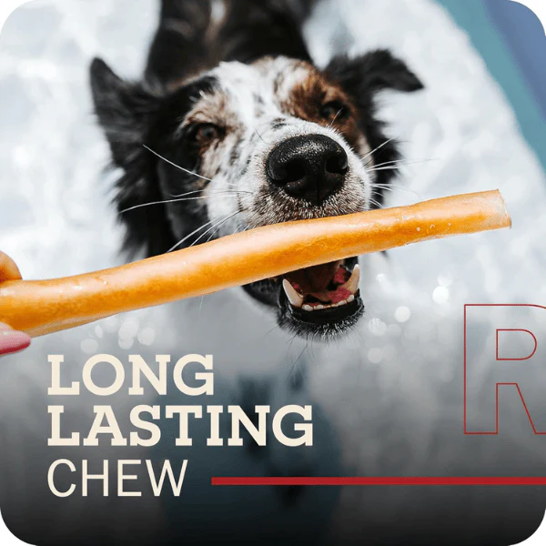 RedBarn X-Large Collagen Stick - Image 3