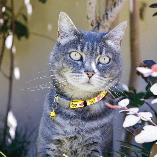 Rogz ReflectoCat Safety Release Collar - Image 2