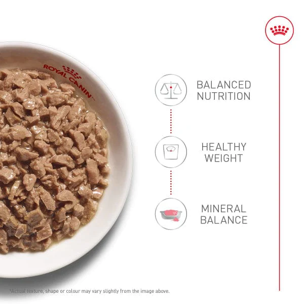 Royal Canin Adult Instinctive Thin Slices in Gravy Canned Cat Food, 85g - Image 2