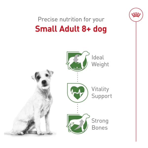 Royal Canin Small Adult 8+ Dry Dog Food - Image 4