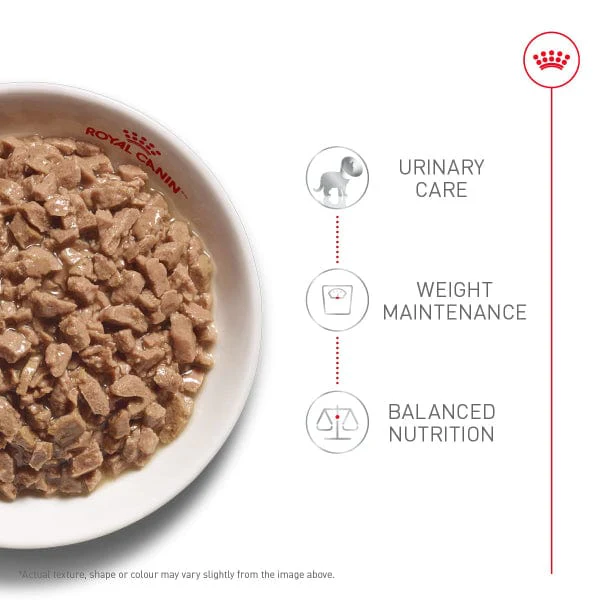 Royal Canin Urinary Care Thin Slices in Gravy Canned Cat Food, 85g - Image 2
