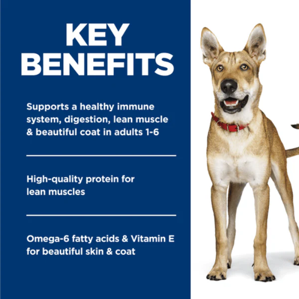 Science Diet Chicken & Barley Entree Adult Canned Dog Food, 13oz - Image 4
