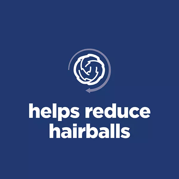 Science Diet Adult Hairball Control Chicken Recipe Dry Cat Food - Image 5