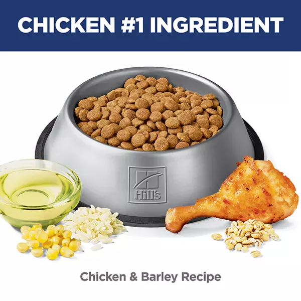 Science Diet Adult Perfect Digestion Chicken Recipe Dry Dog Food, 22lb - Image 3