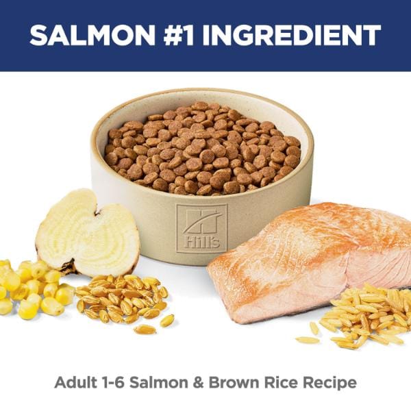 Science Diet Adult Salmon & Brown Rice Recipe Dry Cat Food - Image 2