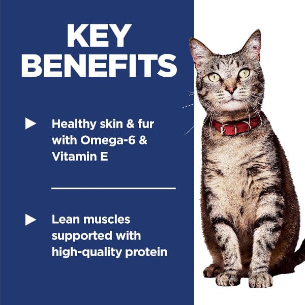Science Diet Adult Salmon & Brown Rice Recipe Dry Cat Food - Image 3