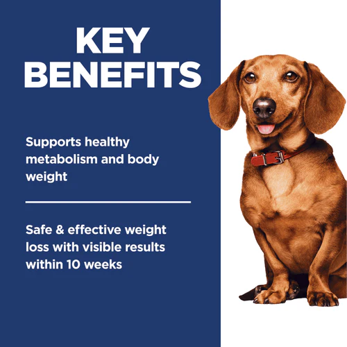 Science Diet Adult Perfect Weight Small & Mini Chicken Recipe Dry Dog Food, 4lb - Image 4