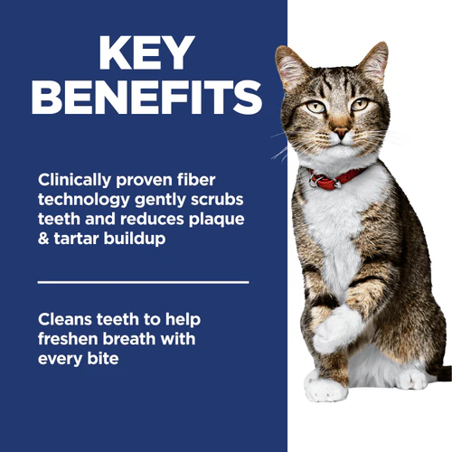 Science Diet Adult Oral Care Chicken Recipe Dry Cat Food - Image 3