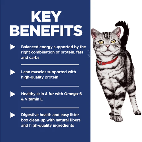 Science Diet Indoor Adult Chicken Recipe Dry Cat Food - Image 3