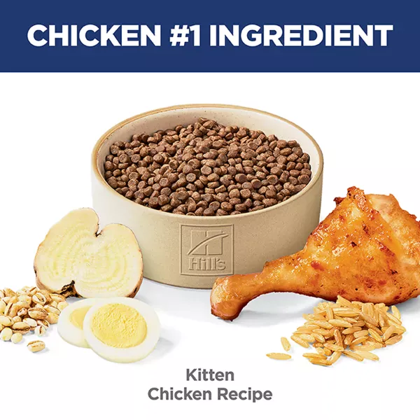 Science Diet Kitten Chicken Recipe Dry Cat Food - Image 3
