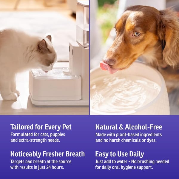Slurp'n Fresh Oral Hygiene Solution for Mature Dogs, 400ml - Image 4