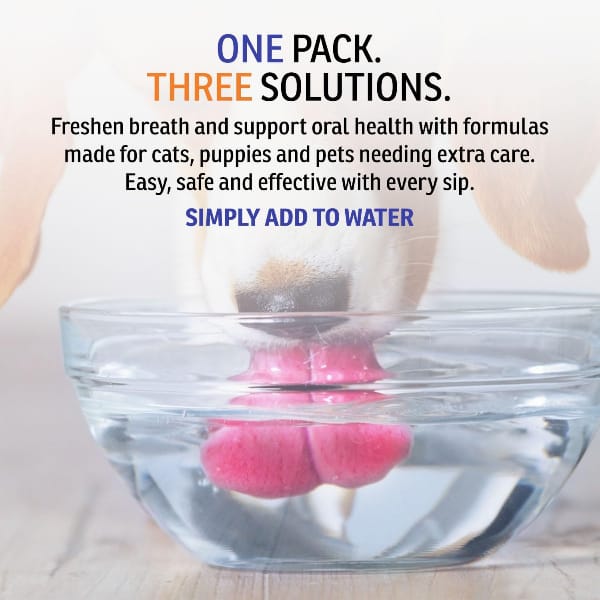 Slurp'n Fresh Oral Hygiene Solution for Mature Dogs, 400ml - Image 5