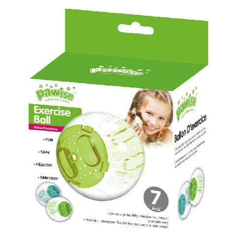 Pawise Small Animal Exercise Balls - Image 3
