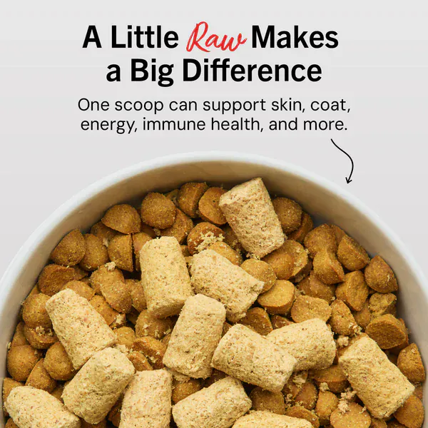 Stella & Chewy's Dandy Lamb Meal Mixers - Image 2