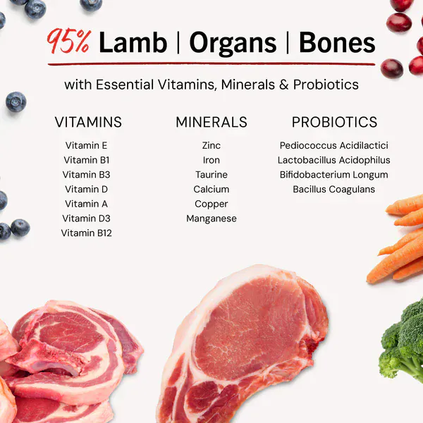 Stella & Chewy's Dandy Lamb Meal Mixers - Image 8