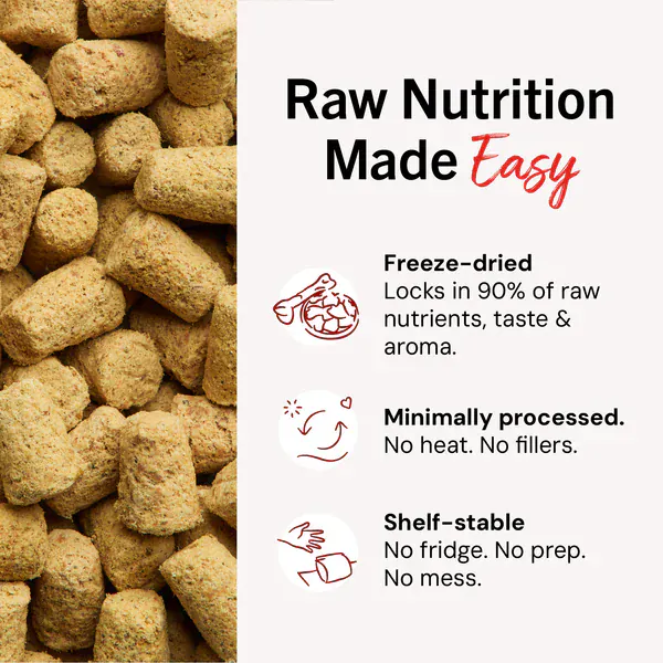 Stella & Chewy's Tantalizing Turkey Meal Mixers - Image 6