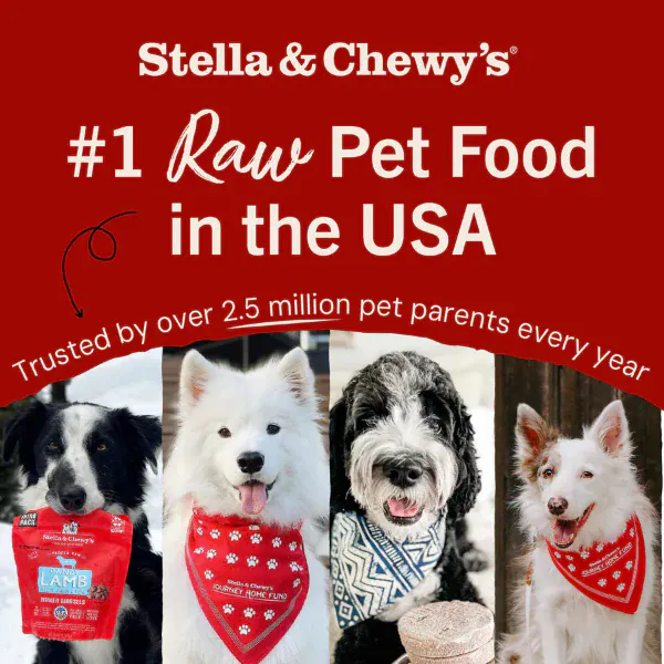Stella & Chewy's Tantalizing Turkey Meal Mixers - Image 7