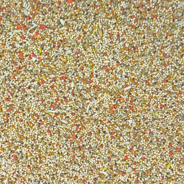 Sunburst Gourmet Blend Parakeet Food - Image 2