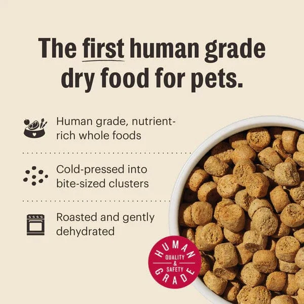 The Honest Kitchen Whole Food Clusters | Grain Free Chicken Dry Dog Food, 5lb - Image 3