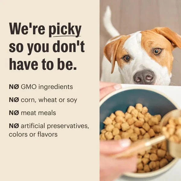 The Honest Kitchen Whole Food Clusters | Grain Free Chicken Dry Dog Food, 5lb - Image 5