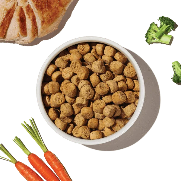 The Honest Kitchen Whole Food Clusters | Grain Free Chicken Dry Dog Food, 5lb - Image 8