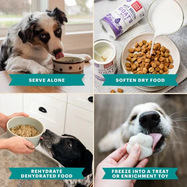 The Honest Kitchen Daily Boosters | Instant Beef Bone Broth - Image 6