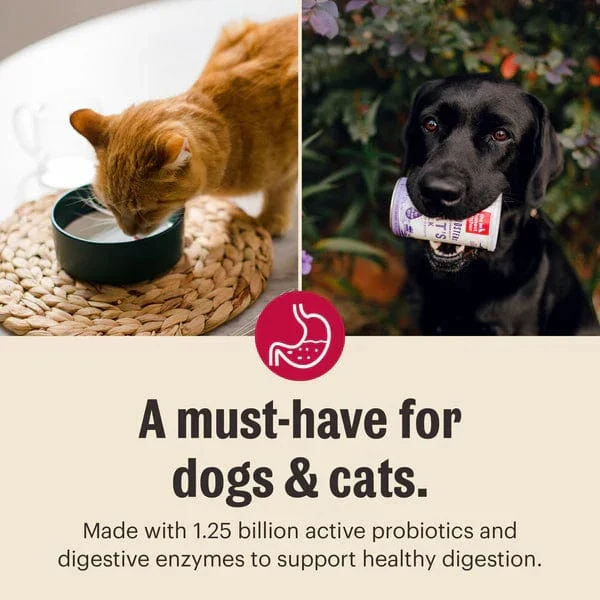 The Honest Kitchen Daily Boosters | Instant Goat's Milk with Probiotics - Image 5