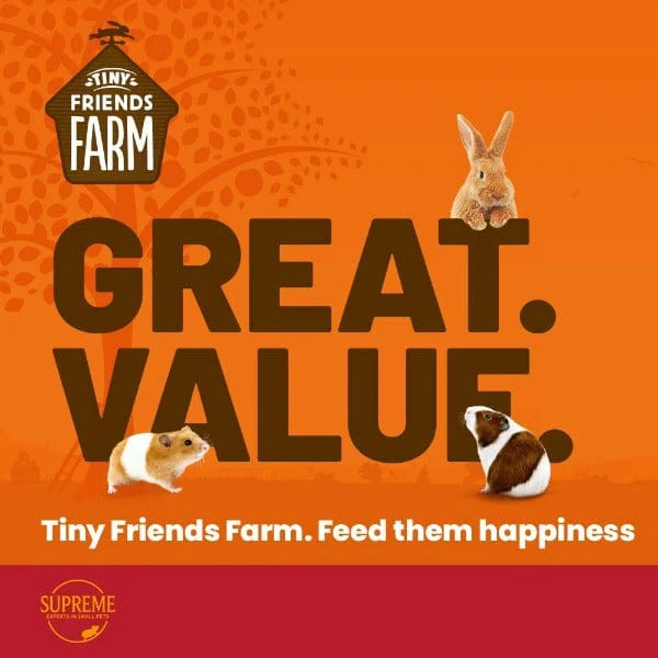 Tiny Friends Farm; Gerty Guinea Pig Scrummies Treat - Image 2