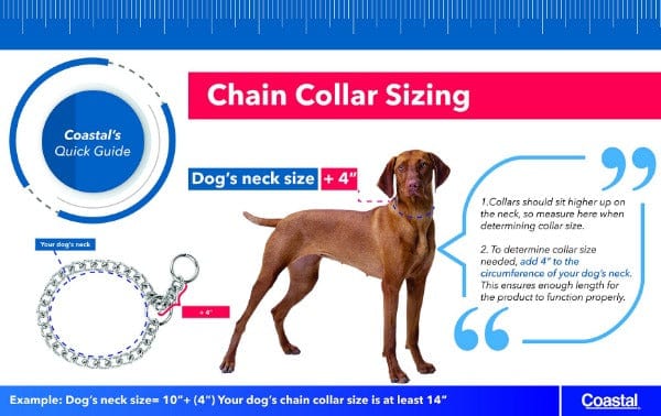 Titan Chain Training Dog Collar - Image 2