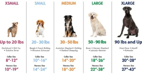 Titan Chain Training Dog Collar - Image 3