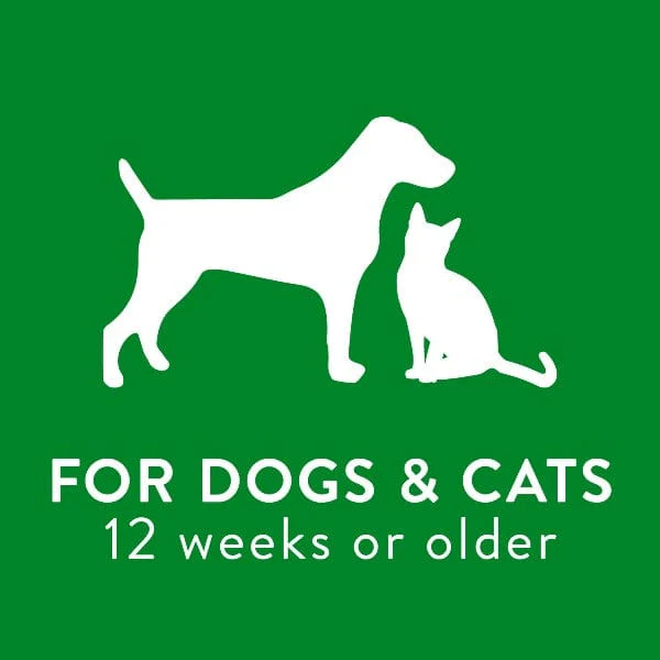 Tropiclean 2-in-1 Papaya & Coconut Pet Shampoo and Conditioner - Image 7