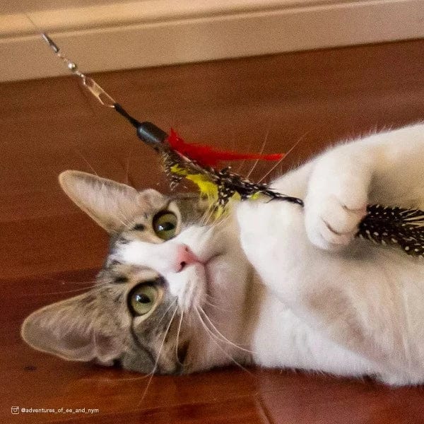 Turbo Telescoping Flying Teaser Cat Toy - Image 4