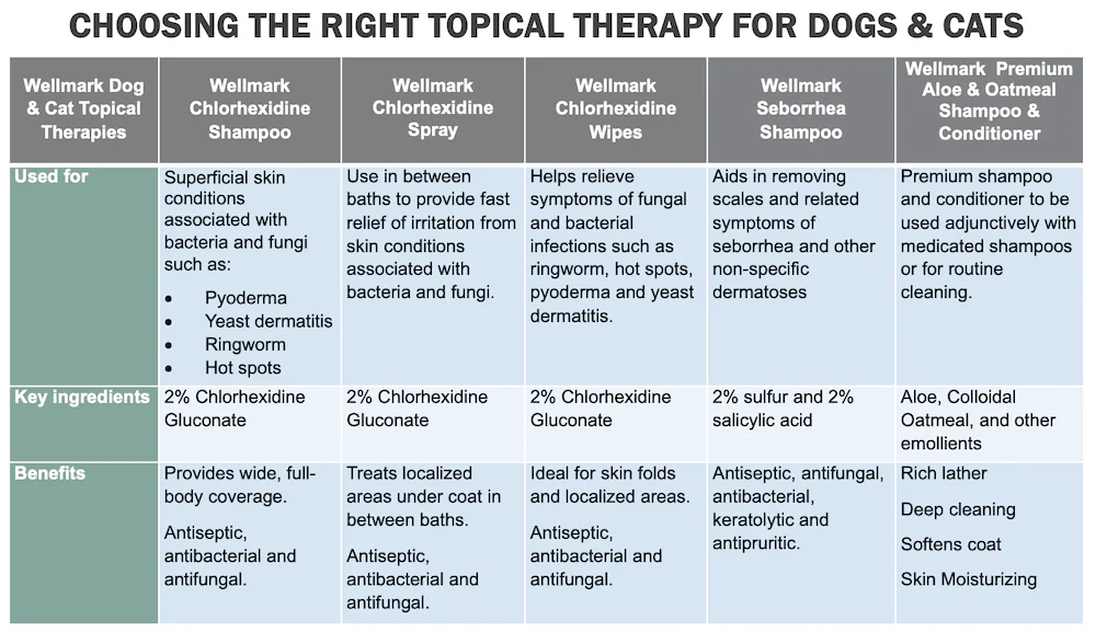 Wellmark Chlorhexidine Spray for Dogs & Cats (SPECIAL ORDER ITEM) - Image 2