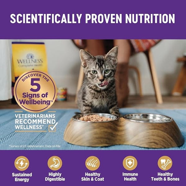 Wellness Complete Health Pate Beef & Chicken Dinner Canned Cat Food, 5.5oz - Image 3