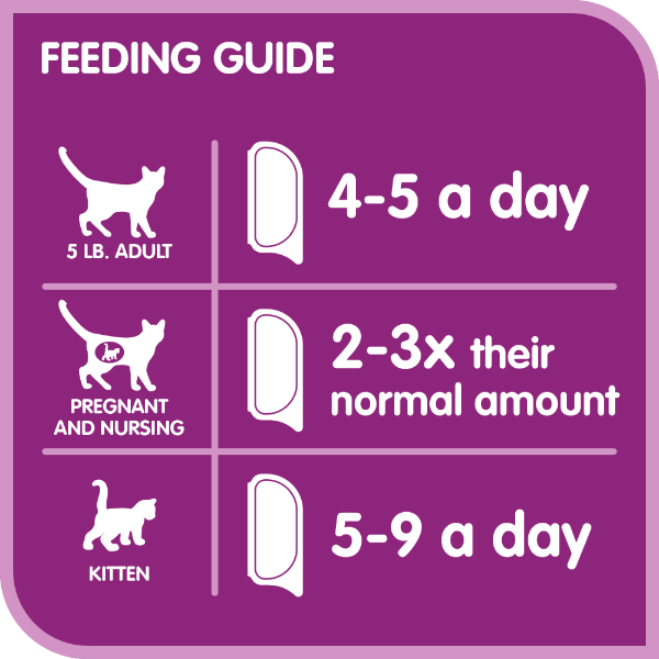 Whiskas Perfect Portions Chicken Pâté Wet Cat Food - Image 3