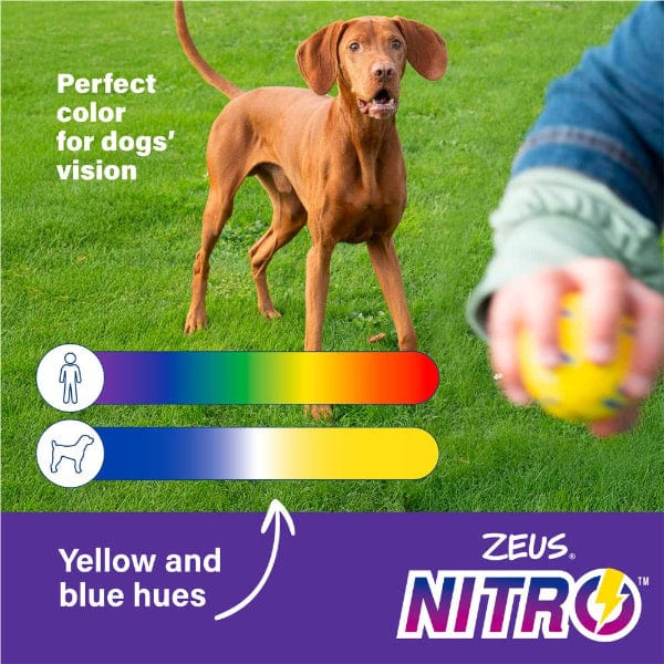 Zeus NITRO Disc - Image 3